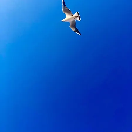 H2o Parter Domu Z Wlasnym Ogrodkiem Поберово