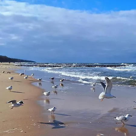 H2o Parter Domu Z Wlasnym Ogrodkiem Дом отдыха Поберово