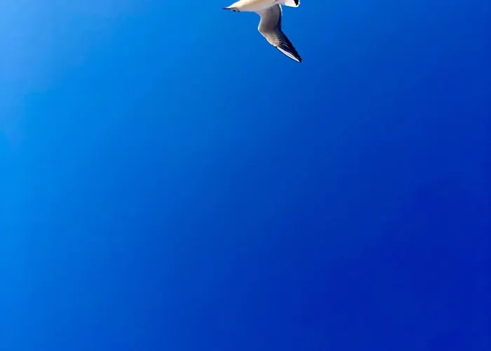 H2o Parter Domu Z Wlasnym Ogrodkiem ポビエロボ