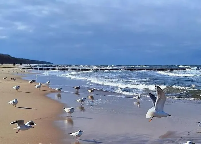 H2o Parter Domu Z Wlasnym Ogrodkiem 別荘 ポビエロボ